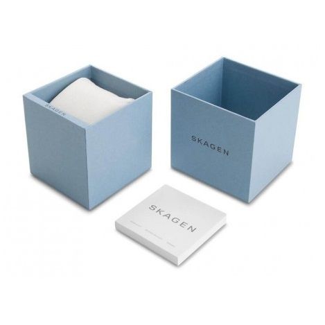 SKAGEN DENMARK Mod. RIIS official packaging box for water-resistant quartz wristwatch with mesh strap and mineral dial.