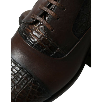 Dolce & Gabbana Brown Exotic Leather Lace Up Oxford Dress Shoes