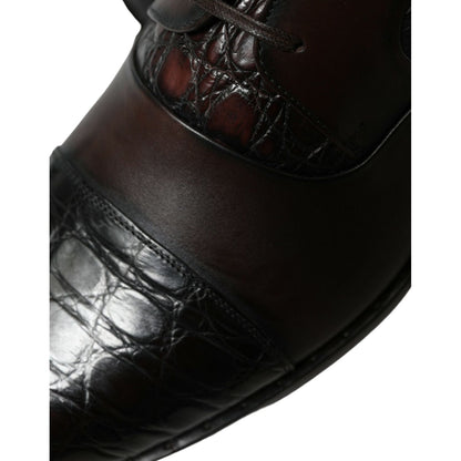 Dolce & Gabbana Brown Exotic Leather Formal Men Dress Shoes