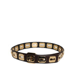 Dolce & Gabbana Dark Brown Leather Gold Rotating Buckle Belt WMB392-90