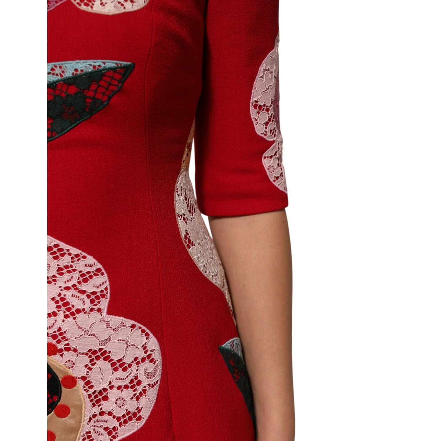 Dolce & Gabbana Red Lace Floral Applique A-line Mini Dress