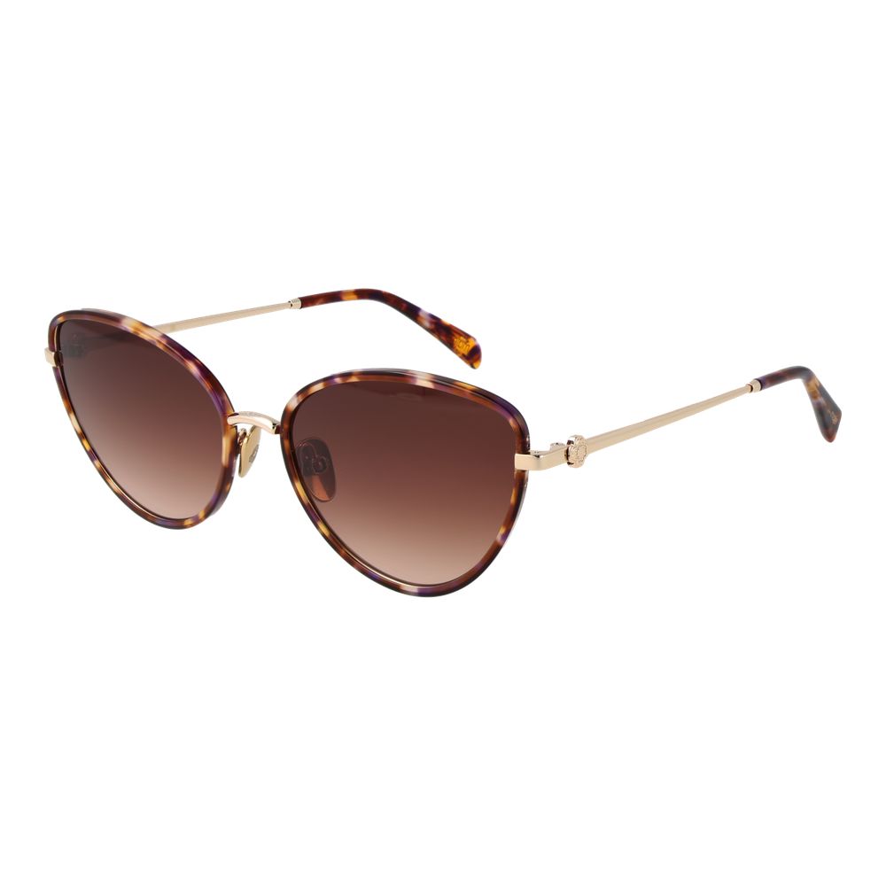 Maje Brown Acetate Sunglasses