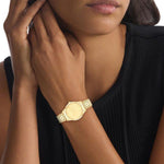 CALVIN KLEIN Mod.ICONIC 25200346