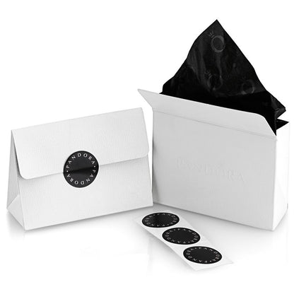 Official packaging for PANDORA JEWELRY Mod. 763585C01 charm, featuring branded paper box and stickers.